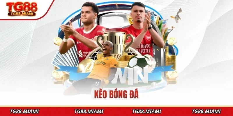 keo-bong-da-tg88