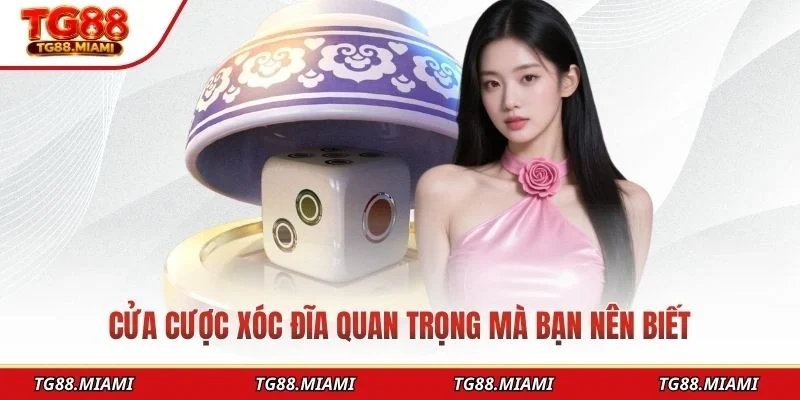 Cửa cược xóc đĩa quan trọng mà bạn nên biết